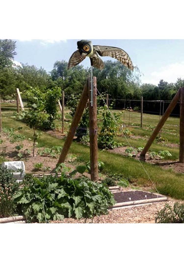 Uş Uzaklaştırıcı Maket Baykuş Prowler Owl