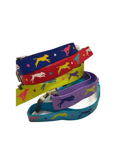 Leaping Dog Premium Boyun Tasması 2,5 Cm X 40-65 Cm Çok Renkli