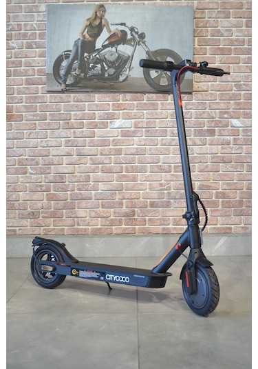 Citycoco X350 Watt Katlanabilir Elektrikli Scooter Siyah