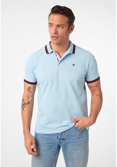 Javeir Erkek Regular Fit Çizgi Detaylı Polo Yaka T-shirt Bebe Mavisi