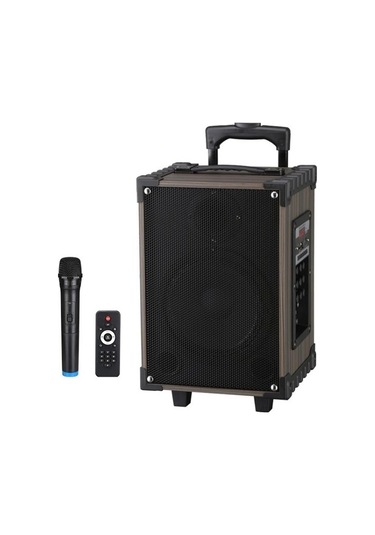 Kablosuz Mikrofonlu Bluetooth Hoparlör Led Işıklı Fm Radyo Sd Kart Usb Girişli Speaker-130144