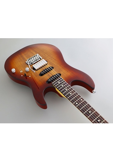 Fujigen Odyssey Elektro Gitar Jos2duew2r/knb