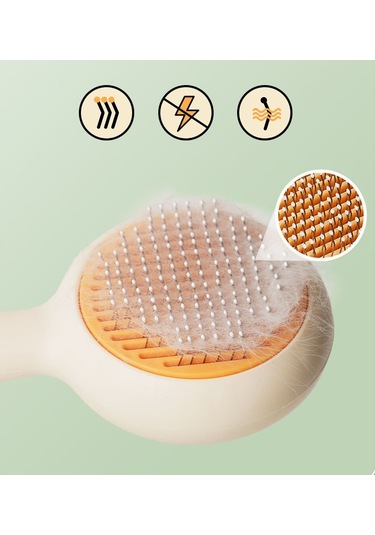 Lichen 2 Adet Evcil Hayvan Tarağı, Kedi Tarağı, Paslanmaz Çelik