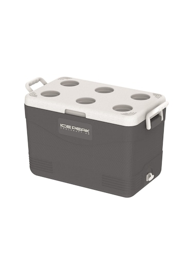 Icepeak Coolcraft 46 Buzluk 41.6 Litre-füme Füme