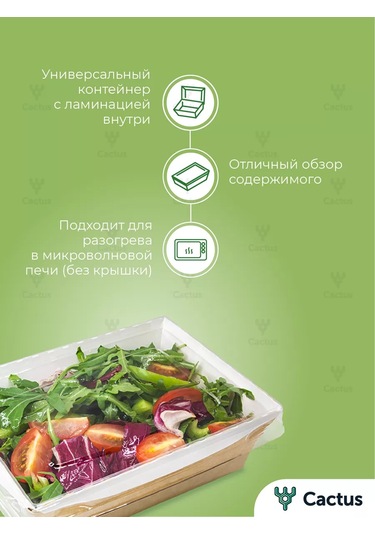 Cactus Tek Kullanımlık Trigloff Kutu, 1000 Ml Yemek Kapları 224868225 100 adet