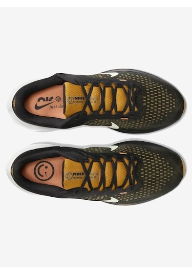 Nike Air Winflo 10 Erkek Koşu Ayakkabısı Dv4022 009 Siyah