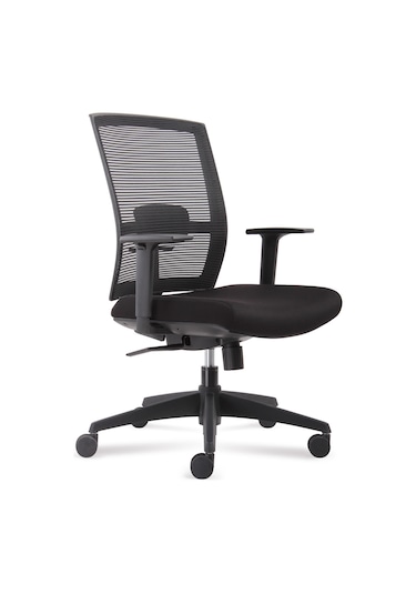 Rapido Rapido Ergonomik Fileli Çalışma Koltuğu - D227