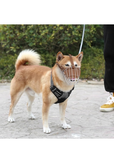 Pasha Pet Metal Deri Köpek Ağızlığı S - 30 Cm
