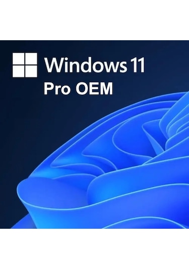 Windows 11 Pro OEM Lisans Key