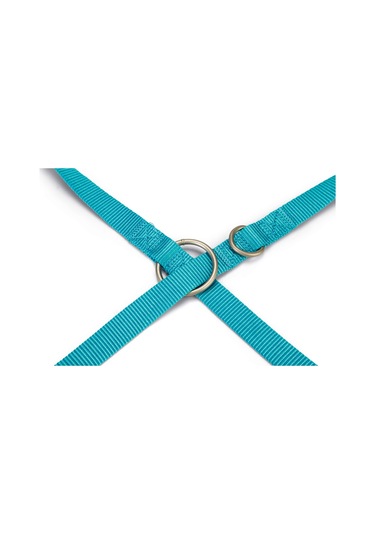 Beeztees Köpek Gezdirme Kayışı, Turkuaz, 200cm, 20mm Turkuaz