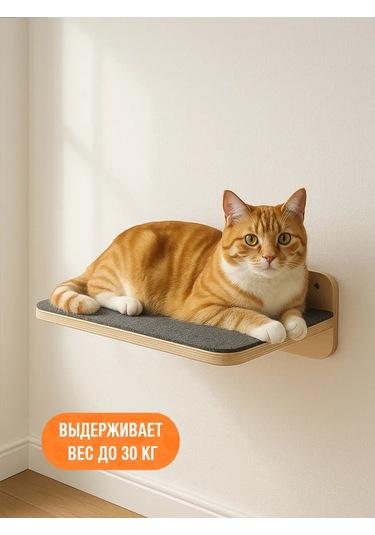 Go Cats Duvar Tipi Halı Kaplı Kedi Tırmanma Ve Dinlenme Rafı 430861490