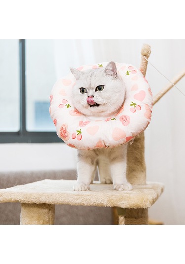 Hombey Kedi Köpek Ameliyat Sonrası Korumalı Yumuşak Yastıkli Boyunluk - Su Geçirmez Tırnak/ısırık Engeli - Sarı Kedi - M Boy