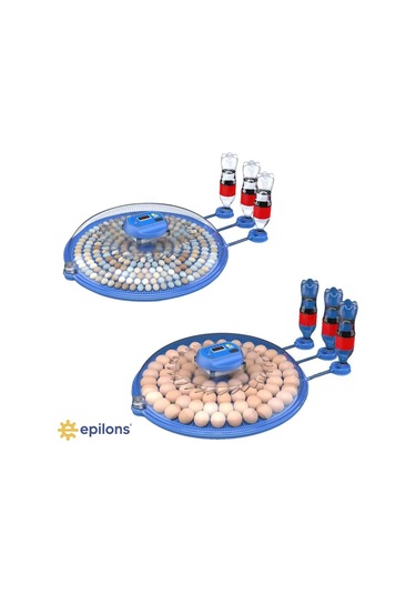 80/240 Kapasiteli Çift Viyollü Kuluçka Makinesi Kaz Ördek Tavuk Bıldırcın Kuşlar İçin
