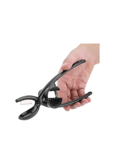 Büro Ev Ofis Mutfağı İçin Kestane Çizici Ceviz Kırıcı Aparat