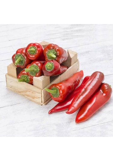 SunaGRi Yağlık Kapya Biber Sebze Tohumu