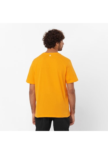 Salomon Graphıc Ss Tee M Zinnia// T-shırt Lc2247000 001