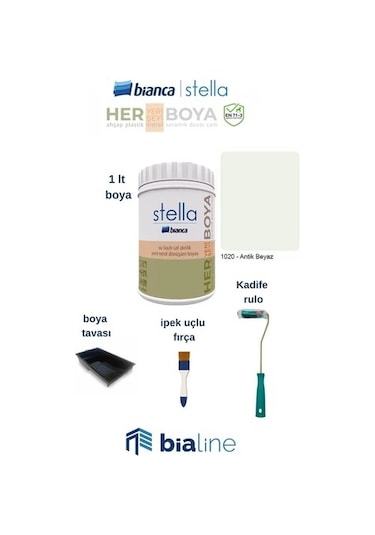 Bianca Stella Boya Seti Boya + Kadife Rulo + İpek Fırça + Boya Kabı