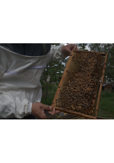 Erbal Poliflora Petekli Bal 800 G