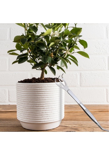 Suntek Toprak Gevşetme Cımbız Akvaryum Bonsai Kavisli-tırmık