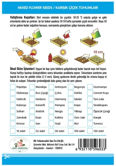 10 Adet Bordo Beyaz Dahlia Yıldız Çiçeği Tohumu + 10 Adet Hediye Karışık Renk Gül Çiçek Tohumu