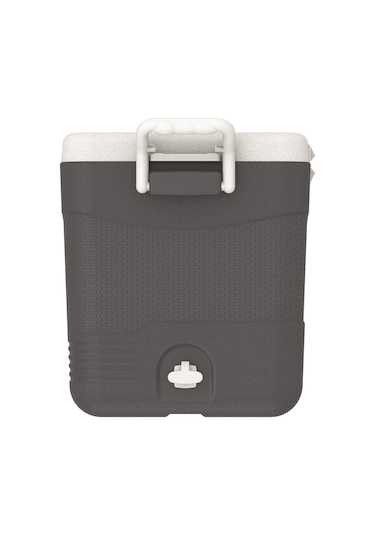 Icepeak Coolcraft 46 Buzluk 41.6 Litre-füme Füme