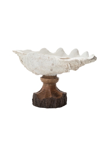 Mudo Home Shell Dekoratif Kase Beyaz 45x25x23 Cm