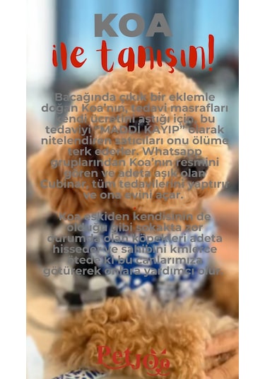 Petjoo 14.Koa Kırmızı-Gri Qr'lı Köpek Künyesi