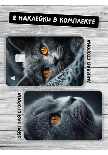 Stadi Kedi Kartı İçin Bant Kedi Şalı Şeklinde Yapışkanlı Etiket Veya Kedi Baskılı Yapışkanlı Kart Kılıfı 388856396