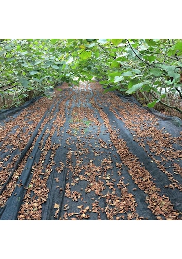 2x20 Metre Fındık Sergisi Fındık Toplama Filesi Fındık Kurutma Örtüsü 40'lık Gölgelik Fındık Altı File Hasat Taban Örtüsü