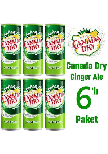 Canada Dry Ginger Ale 6 x 330 ML
