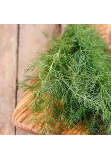 75 Adet Tohum Sebze Dere Otu Tohum Sürpriz Hediye Tohum Yeşil Dere Otu