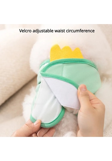 Karikatür Kullanımlık Hayvanlar Pet Köpek Erkek Köpek Fizyolojik