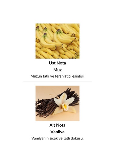 Alescia St-96 Kadın Parfüm EDP 50 ML