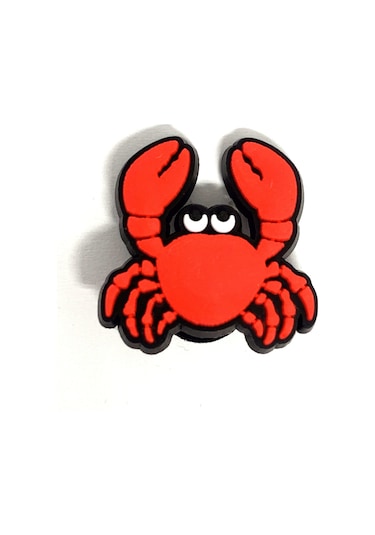 Crocs Terlik Süsü & Renkli Aksesuar Jibbitz (475023217)