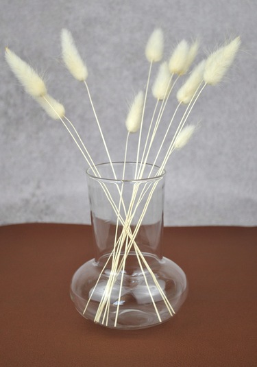 Mantar Cam Vazo 12 Cm- 1 Adet