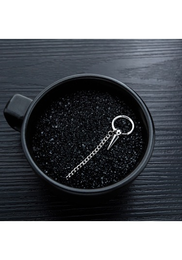 Ehediye Chavin Çelik Sallantılı Tekli Bayan Erkek Küpe Ef36