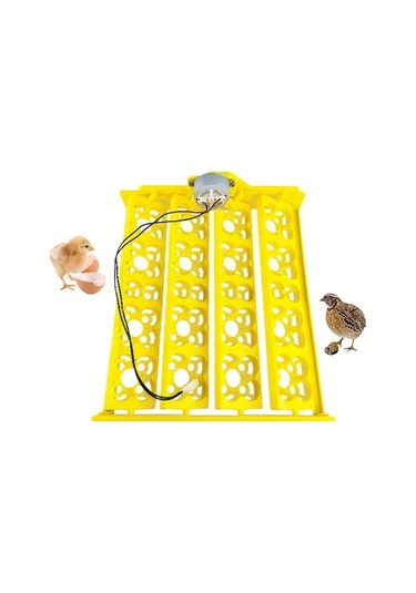 Pazly Yumurta Tavuk Suntek Kuluçka Kaz Için Dc12v Bıldırcın Qz