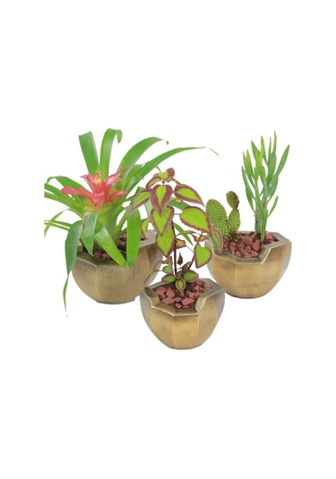 Saksı Çiçek Kaktüs Saksısı Lüx 15 Cm Önü Açık Desenli 3'lü Set Çiçeklik - Altın Eskitme
