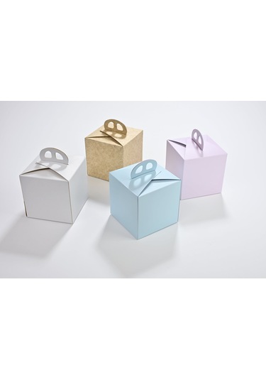 Pasta Kabı Pembe-mavi 10 X 10 Cm 25 Adet