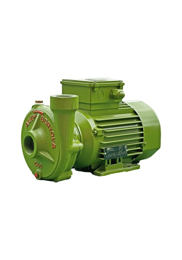 Alem Bertola C40 Bahçe Su Pompası 1,5 Hp 220 Volt Monofaze