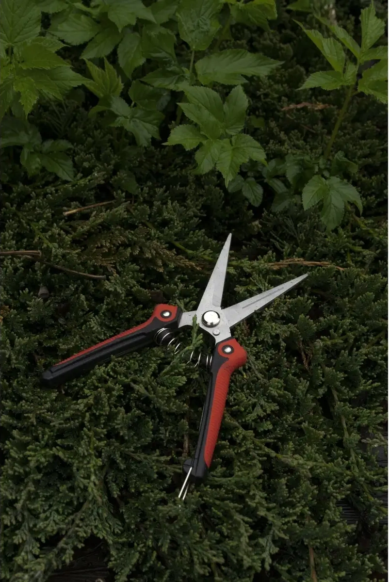 Frommyheart Bahçe Makasları 79473209