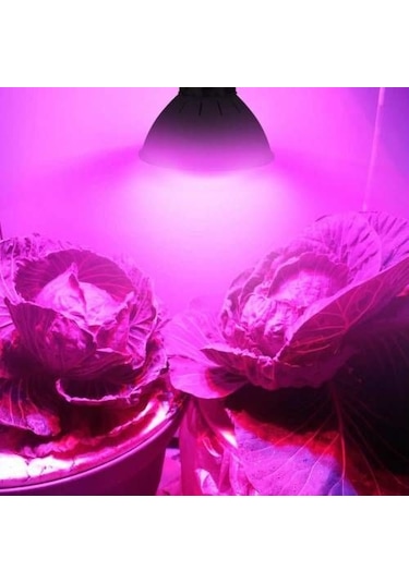 Bitki Gelişimi Hızlandıran Full Spectrum 72 Led Lamba