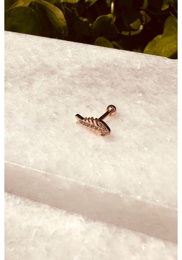 Balık Tasarım Özel Tasarım Rose Gold Renk Stainless Steel Çelik Tragus Helix Piercing