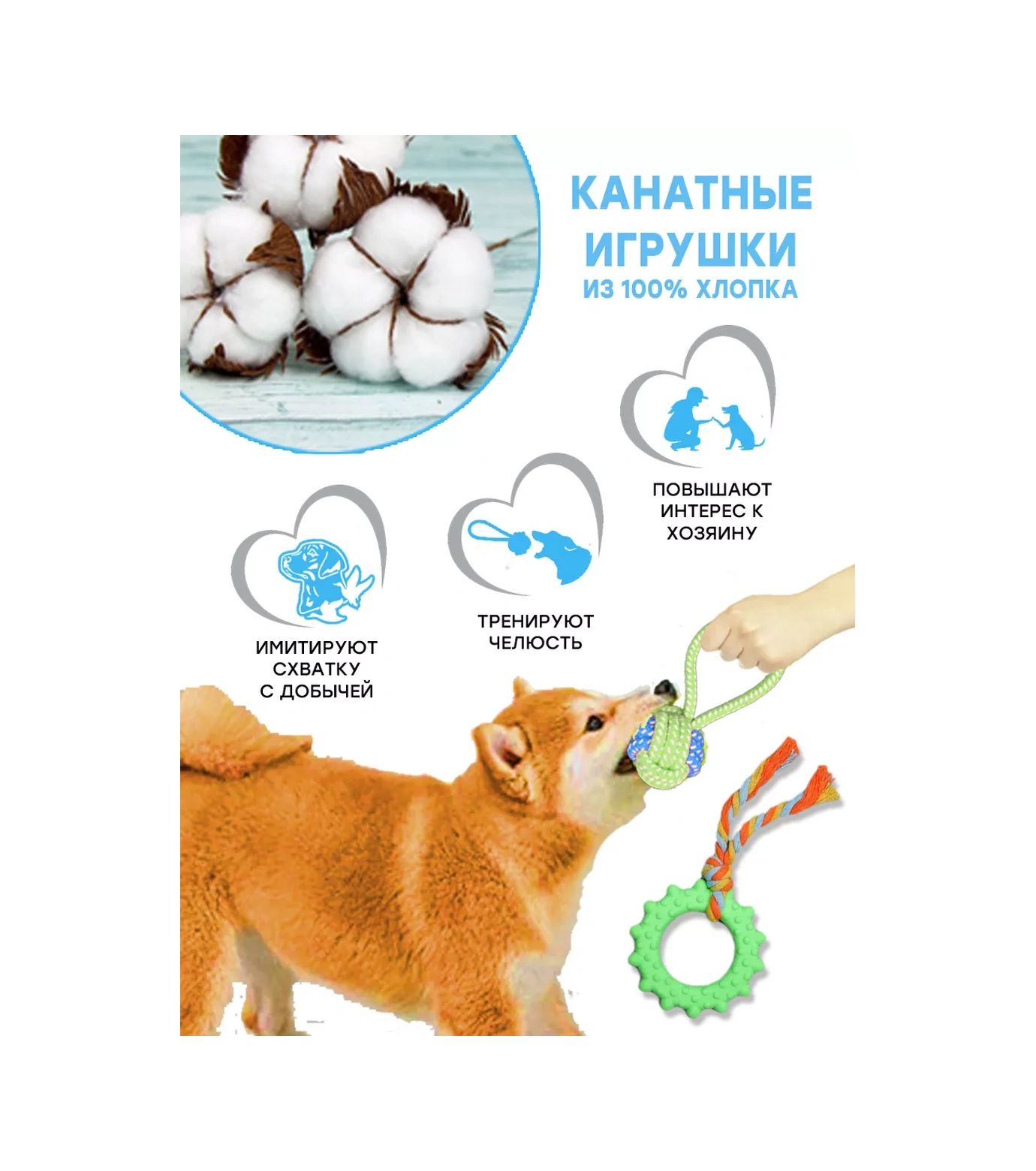 Fan Pets Küçük Ve Orta Irk Köpekler Ve Yavrular İçin Oyuncak Seti 76764519