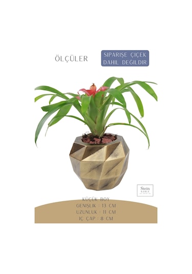 Çiçek Saksısı Dekoratif Kaktüs Saksı 1 Adet Dönen Poly Model - Altın Eskitme