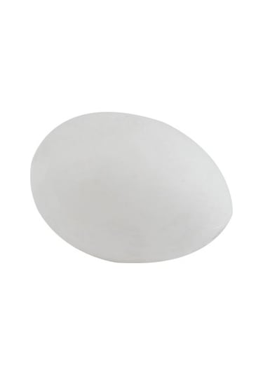 Tavpet Güvercinler İçin Plastik Fol Yumurta 10 Luk Pk.
