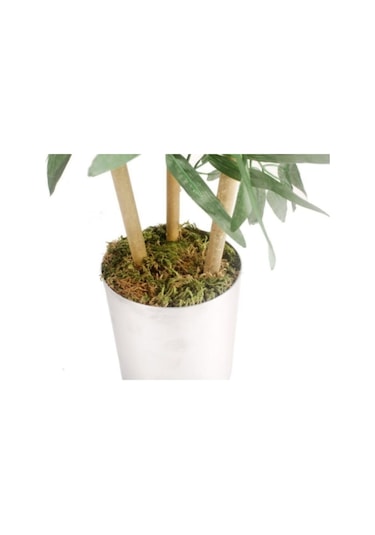 80 Cm Metal Saksı Da Islak Doku 3 Adet Bambu Yeşil