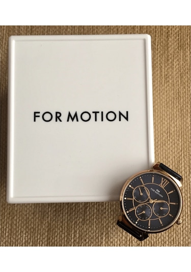 Ferrucci For Motion B01354FH Kadın Kol Saati