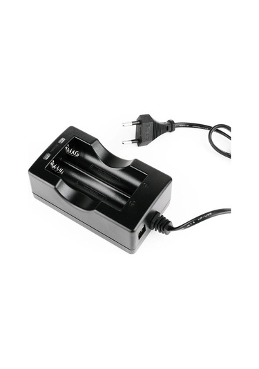 Powermaster 18650 İkili Şarj Cihazı