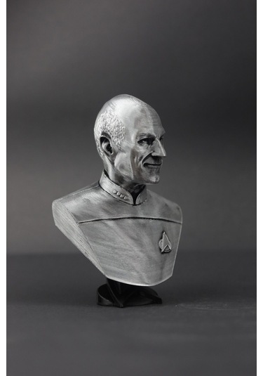 Picard - Star Trek - Figür / Büst - 12cm
